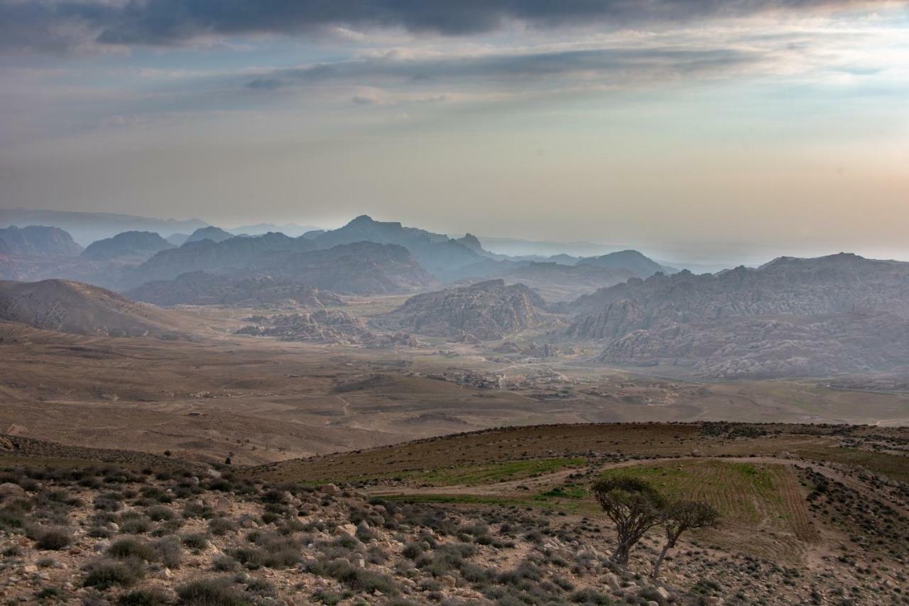 Bedouin Pink Ecohouse Bed & Breakfast Wadi Musa Luaran gambar