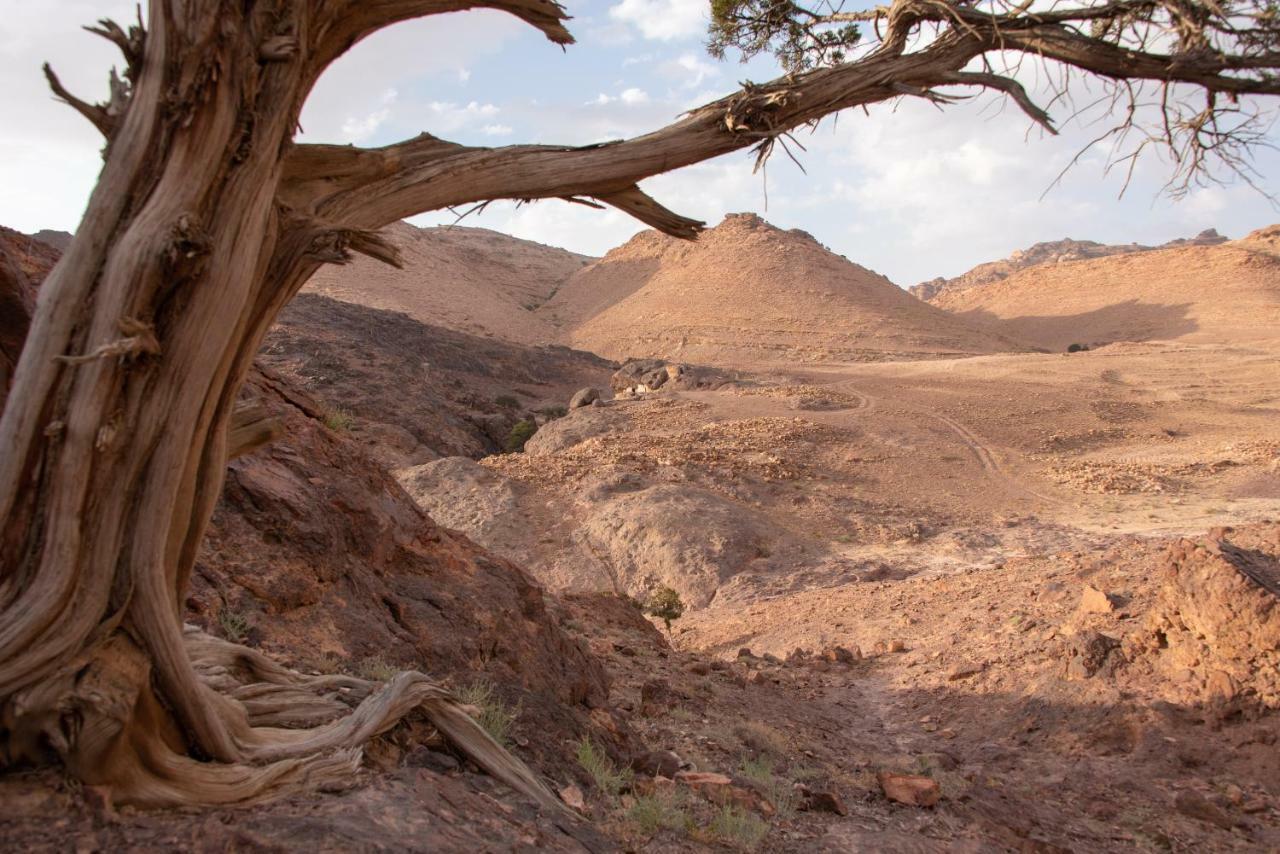 Bedouin Pink Ecohouse Bed & Breakfast Wadi Musa Luaran gambar