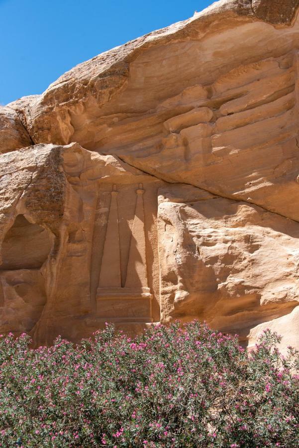 Bedouin Pink Ecohouse Bed & Breakfast Wadi Musa Luaran gambar